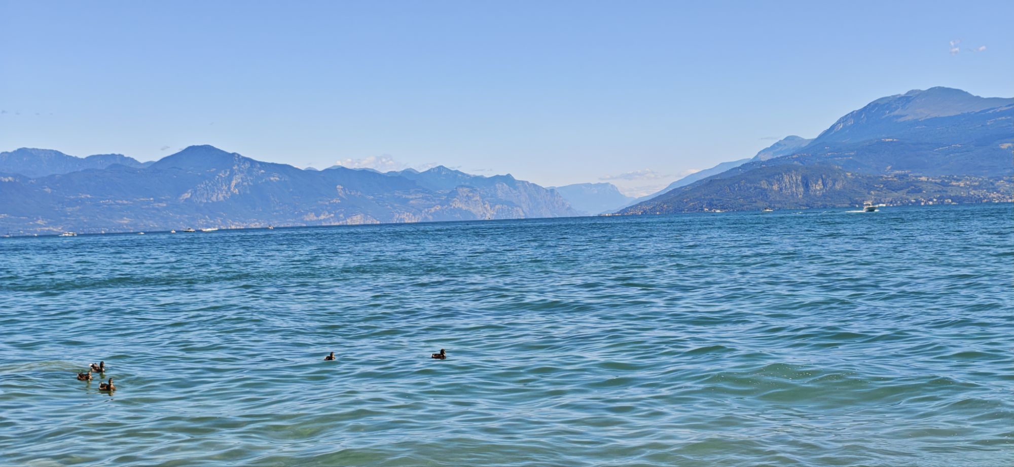 为什么二维码能被识别？