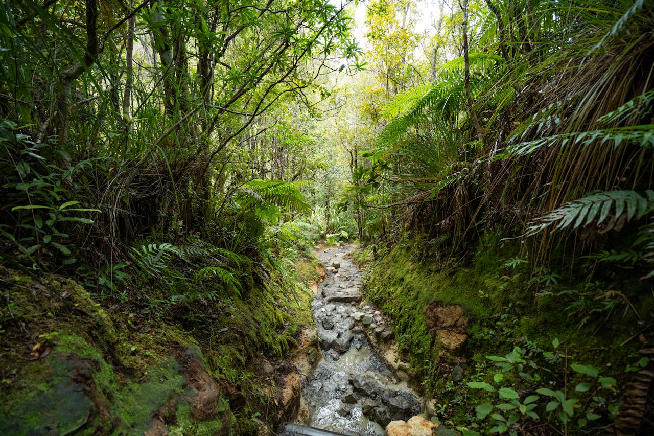 为何我们要学习外语？