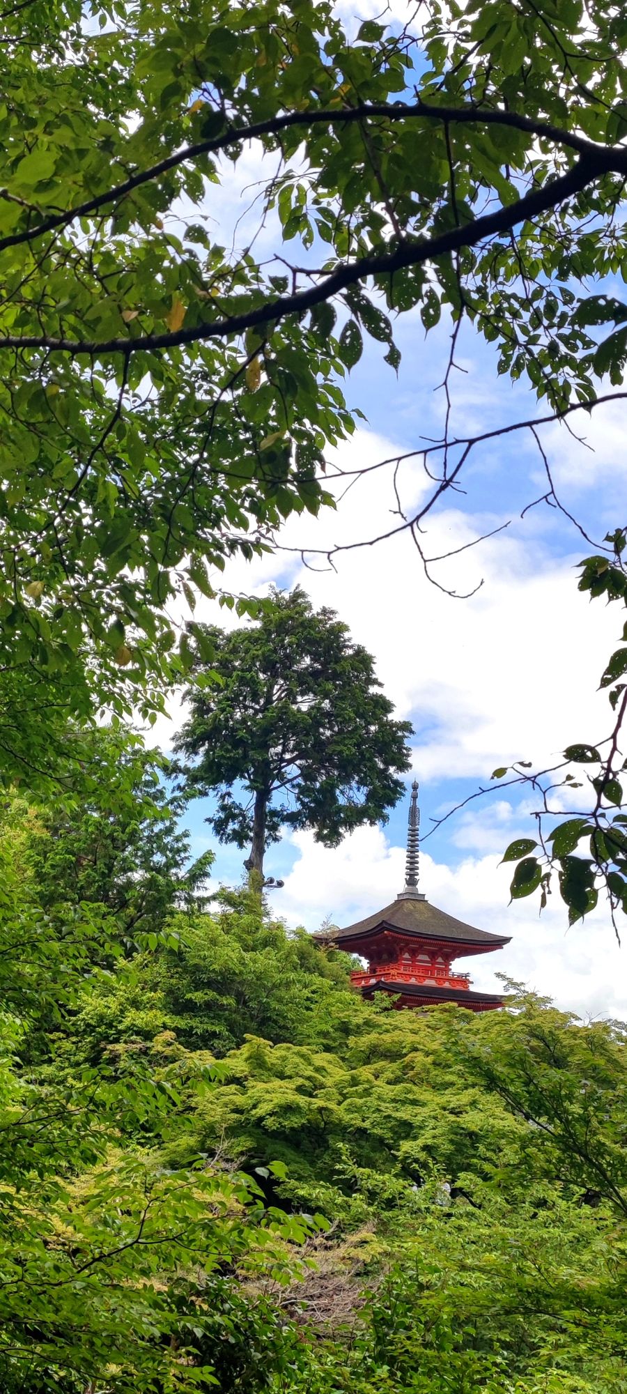 日本之旅-2 /wp-content/uploads/old_images/0f57.jpg