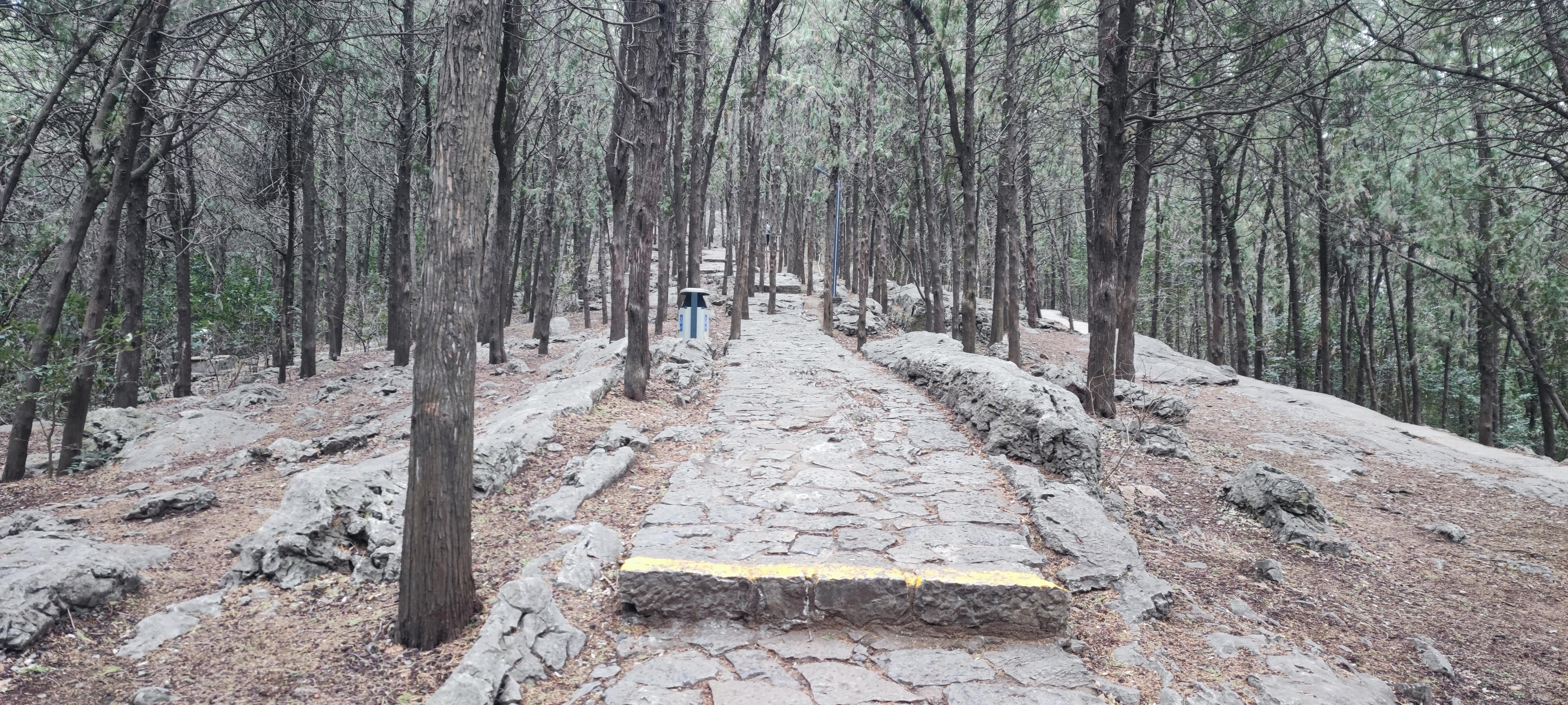 云龙山 云龙山