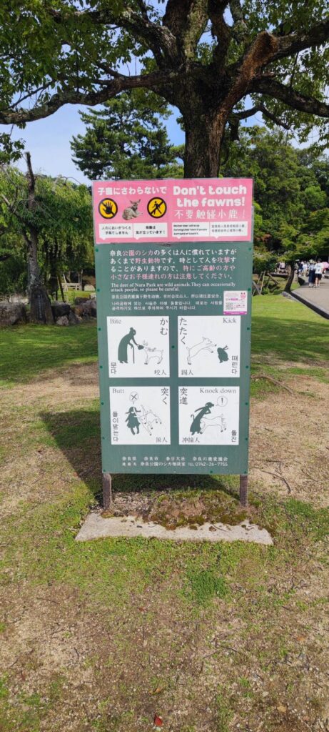 日本之旅-2 /wp-content/uploads/old_images/7fff.jpg